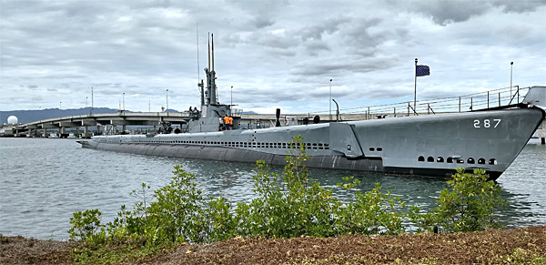 Submarine Bowfin